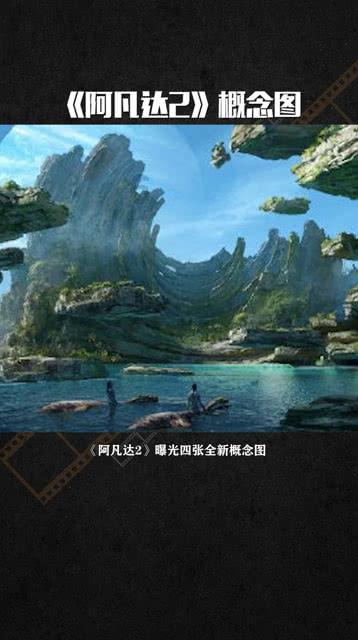 蜂王救援