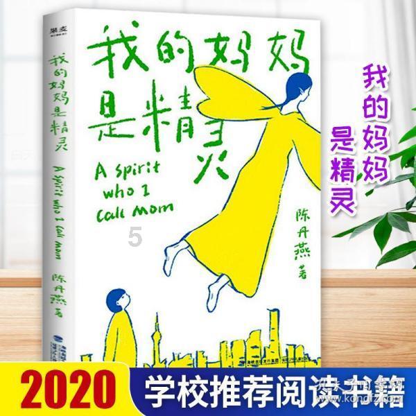 数学男孩